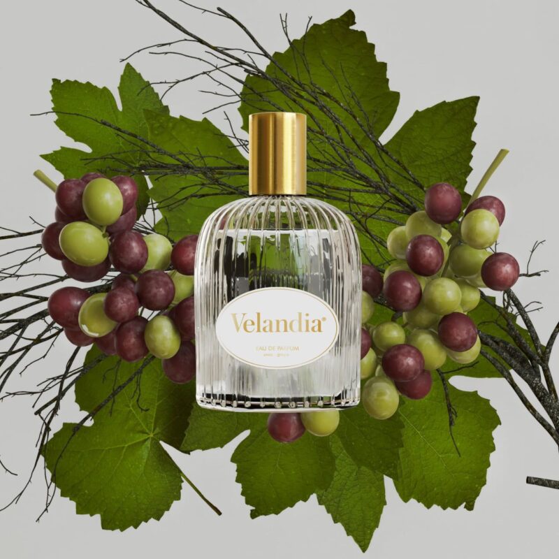 VELANDIA Alta cosmética natural y vegana 1 262024073 1713987438992052 8904316756471652289 n