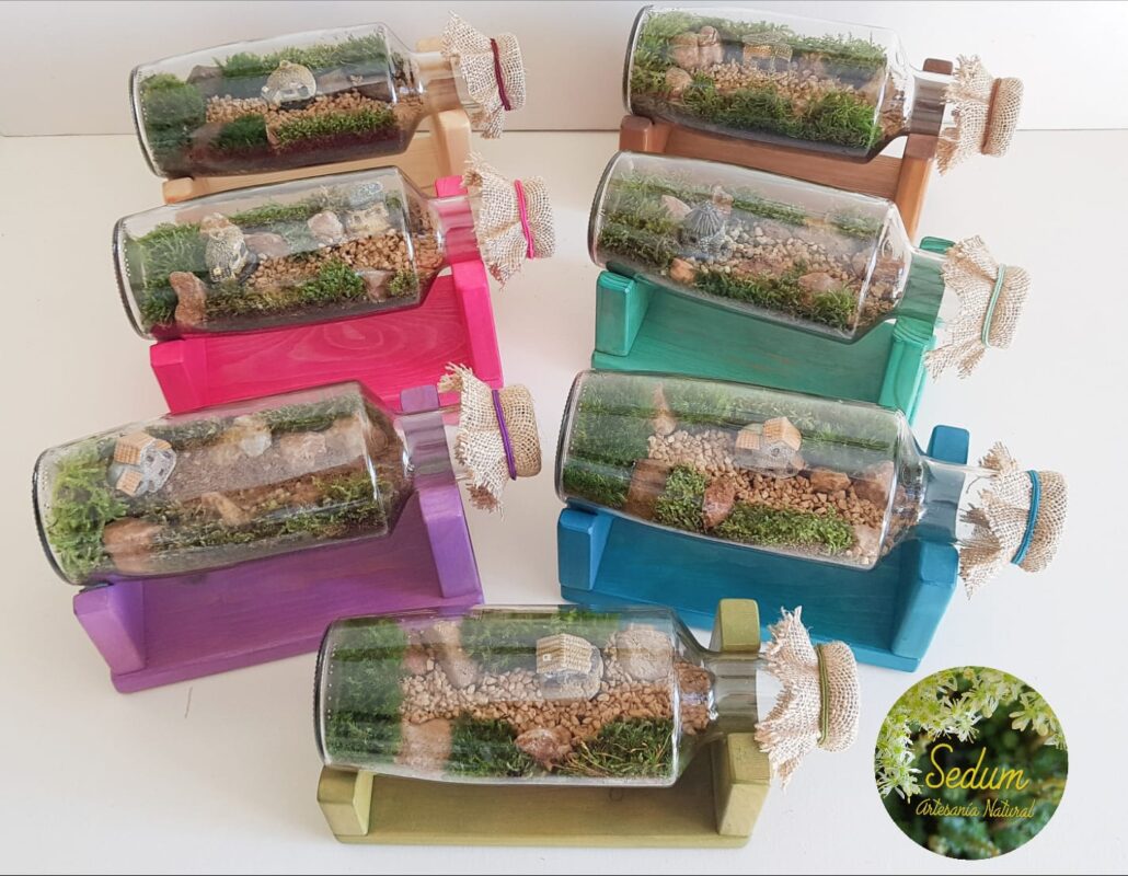 SEDUM ARTESANÍA NATURAL - Terrarios, Kokedamas y Jardines eternos. 4 IMG 20231024 WA0011